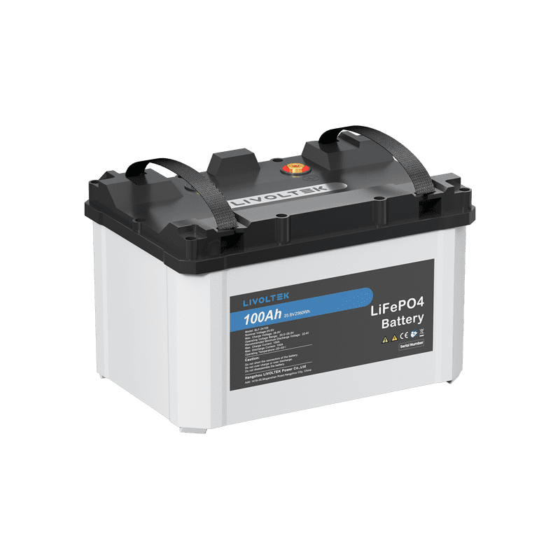 Livoltek Lithium Battery 2.6kWh Low Voltage 25.6V 100Ah LFP