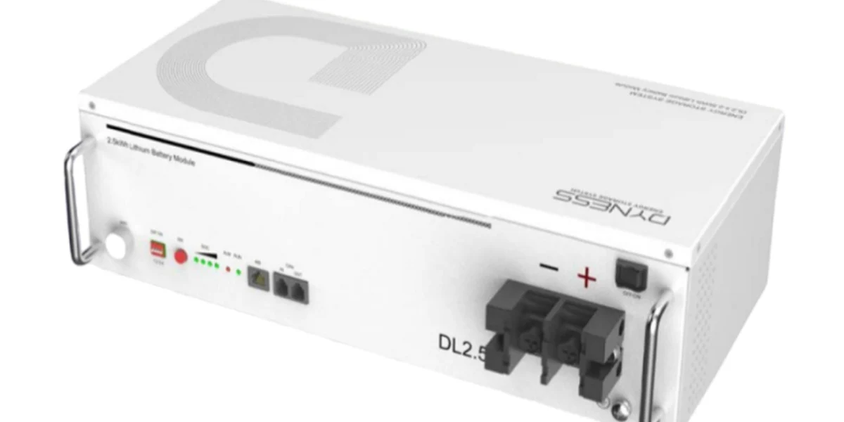 Dyness DL2.5 2.56 kWh Lithium Battery for Solar Storage